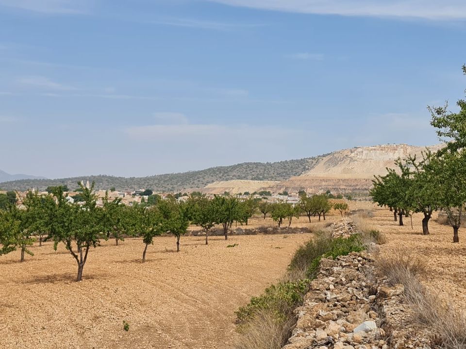 Tomt i Alguena, Alicante - bilde 2