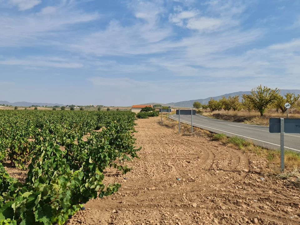 Helårsgrund i Pinoso, Alicante - foto 4