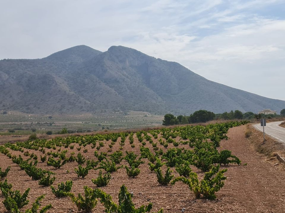 Terra a Abanilla, Murcia - foto 5