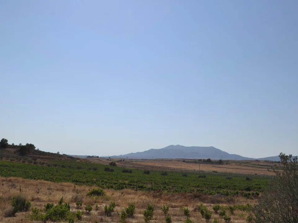 Helårsgrund i Pinoso, Alicante - foto 3