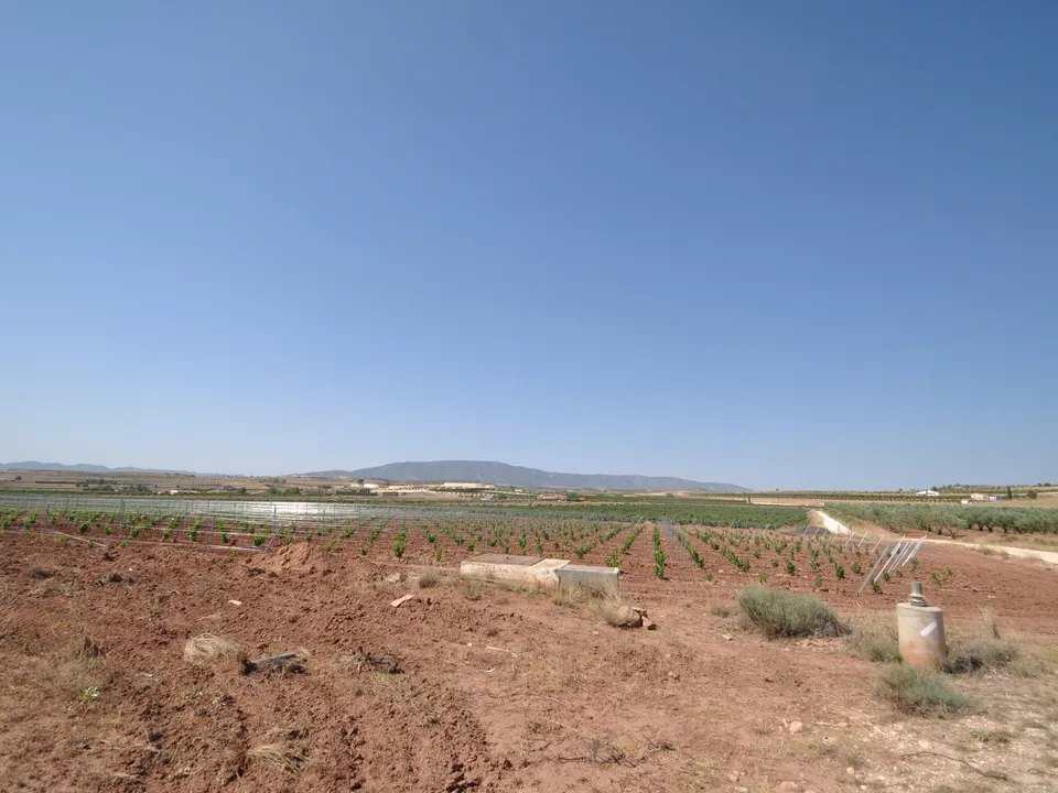 Helårsgrund i Pinoso, Alicante - foto 1