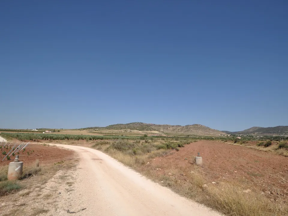 Helårsgrund i Pinoso, Alicante - foto 2