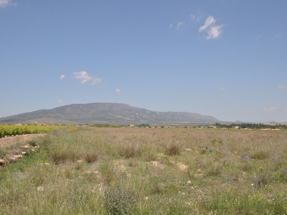 Helårsgrund i Pinoso, Alicante - foto 2