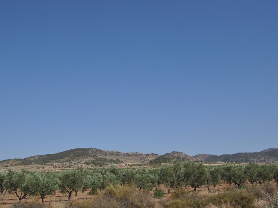 Helårsgrund i Pinoso, Alicante - foto 3