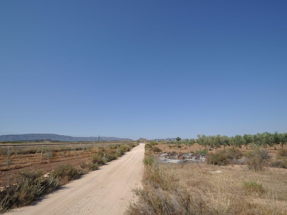 Helårsgrund i Pinoso, Alicante - foto 4
