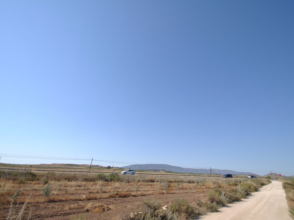 Helårsgrund i Pinoso, Alicante - foto 5