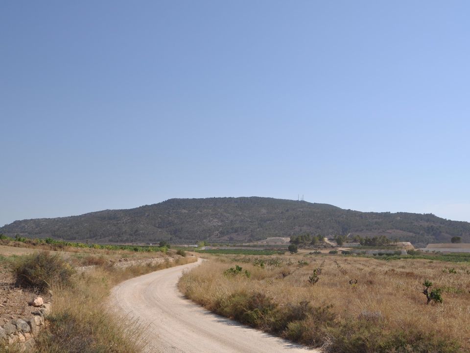 Helårsgrund i Pinoso, Alicante - foto 4