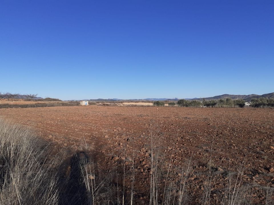 Helårsgrund i Pinoso, Alicante - foto 3