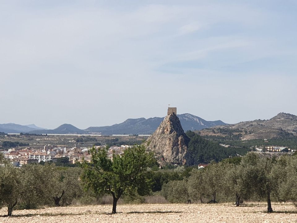 Helårsgrund i Sax, Alicante - foto 2