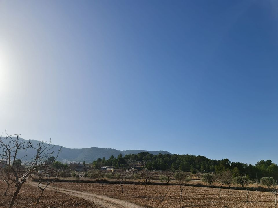 Tomt i Jumilla, Murcia - bilde 3