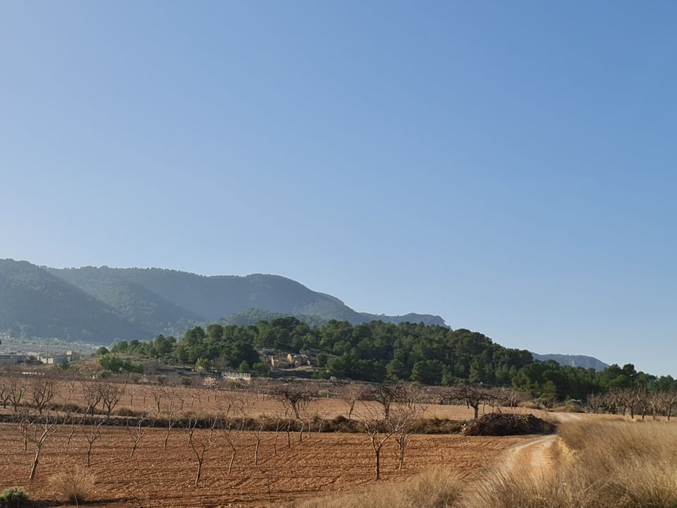 Tomt i Jumilla, Murcia - bilde 2