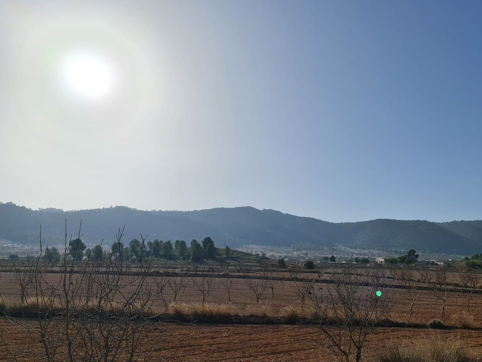 Tomt i Jumilla, Murcia - bilde 3