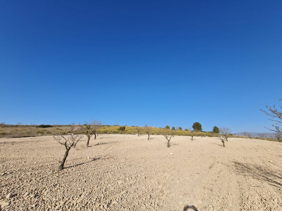 Tomt i Jumilla, Murcia - bilde 5