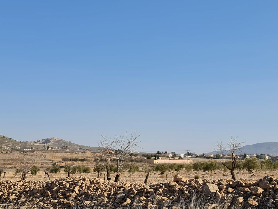 Terreno en Jumilla, Murcia - foto 4