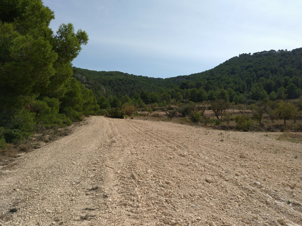 Helårsgrund i Abanilla, Murcia - foto 2