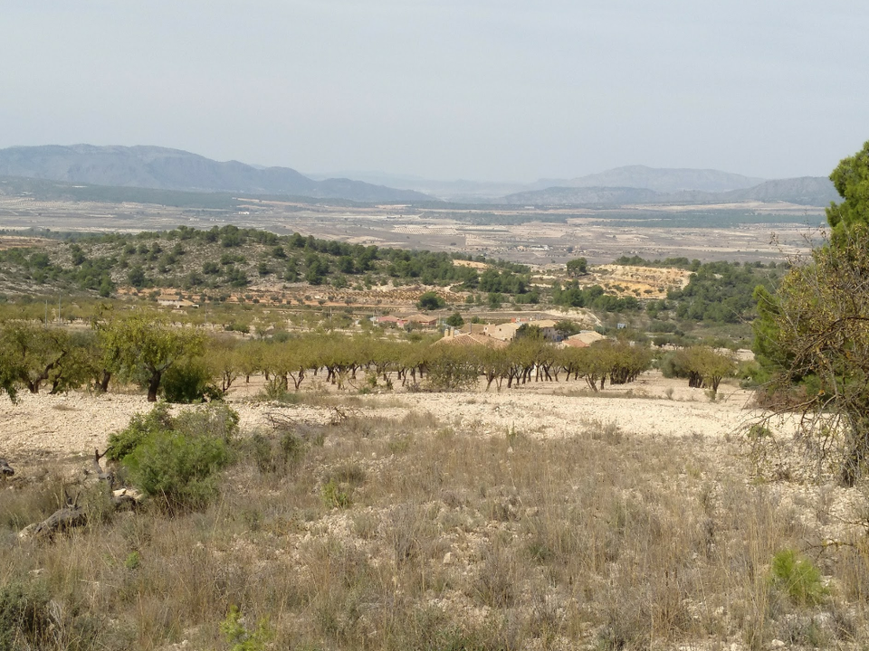 Helårsgrund i Abanilla, Murcia - foto 5