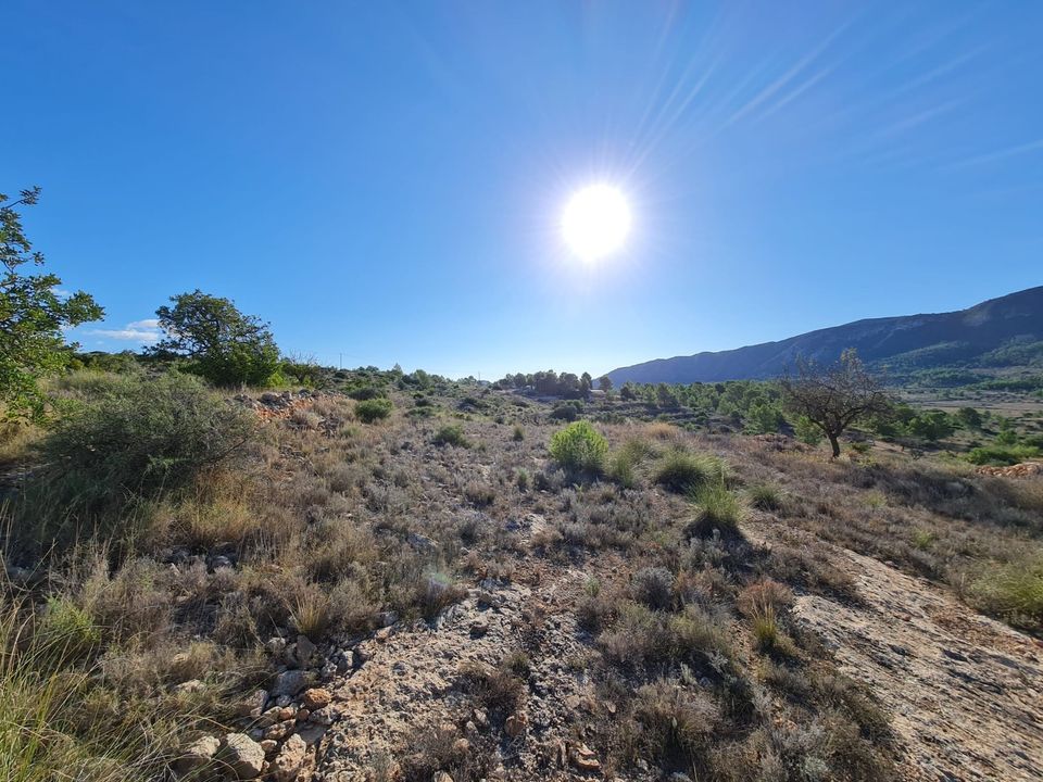 Helårsgrund i La Romana, Alicante - foto 1