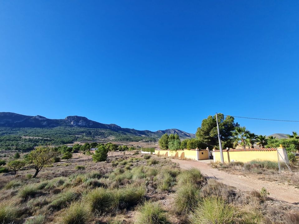 Helårsgrund i La Romana, Alicante - foto 3