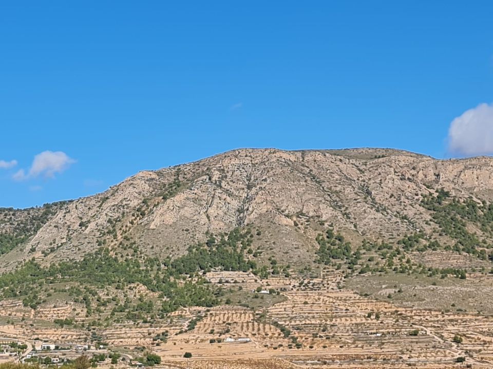 Helårsgrund i La Romana, Alicante - foto 1