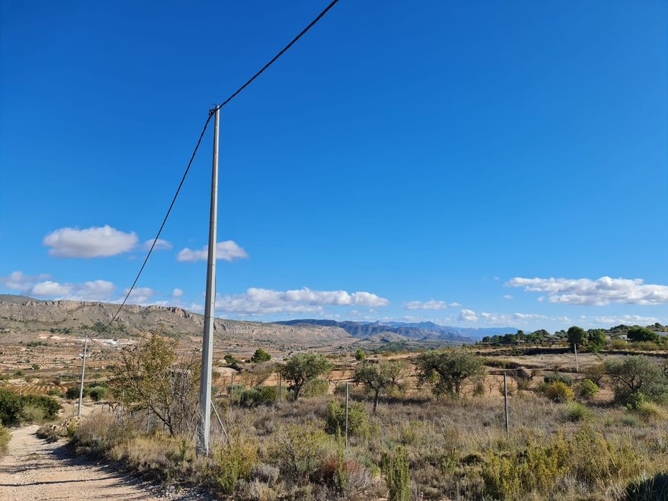 Helårsgrund i La Romana, Alicante - foto 2