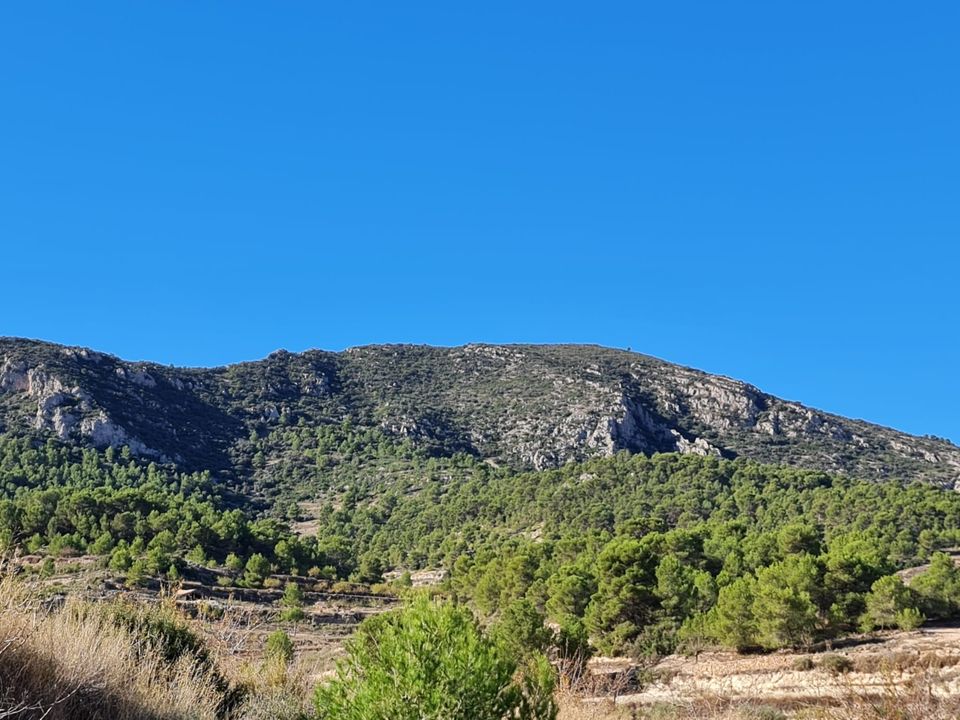 Helårsgrund i La Romana, Alicante - foto 4