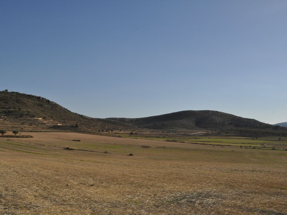Helårsgrund i Torre Del Rico, Murcia - foto 3