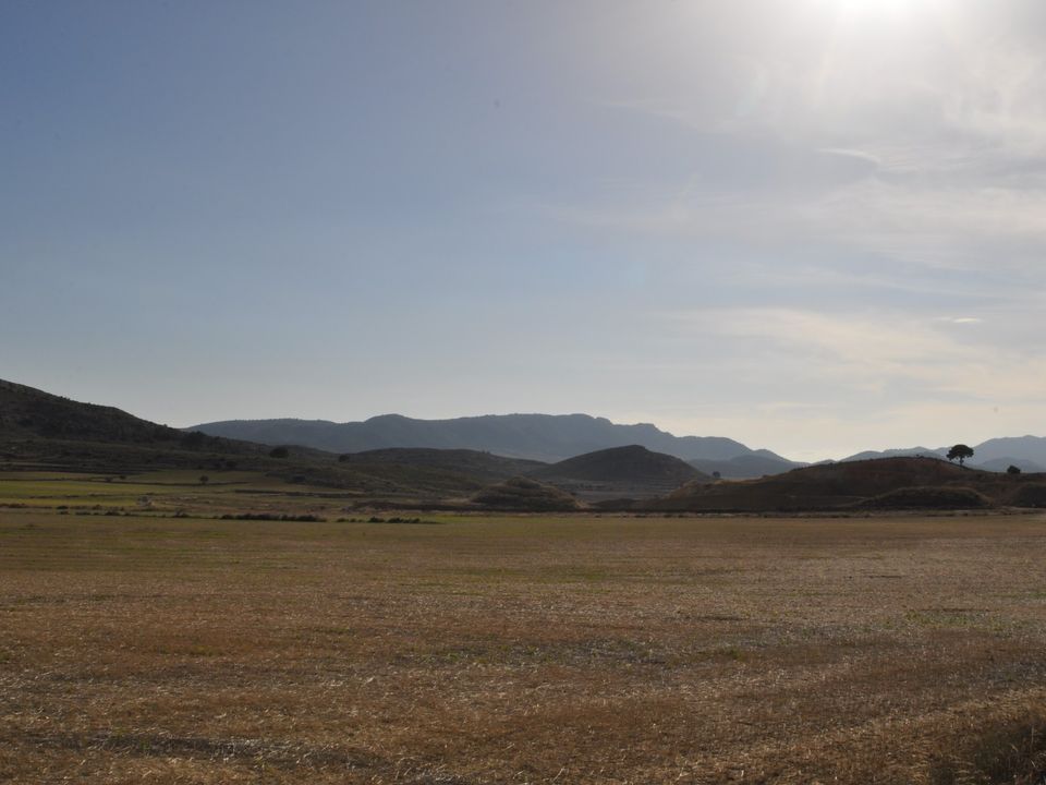 Helårsgrund i Torre Del Rico, Murcia - foto 4