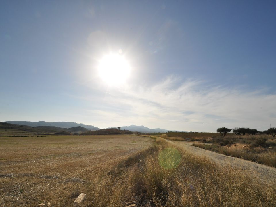 Helårsgrund i Torre Del Rico, Murcia - foto 5