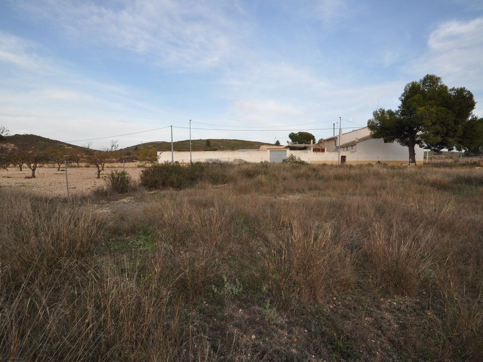 Helårsgrund i Canada Del Trigo, Alicante - foto 2