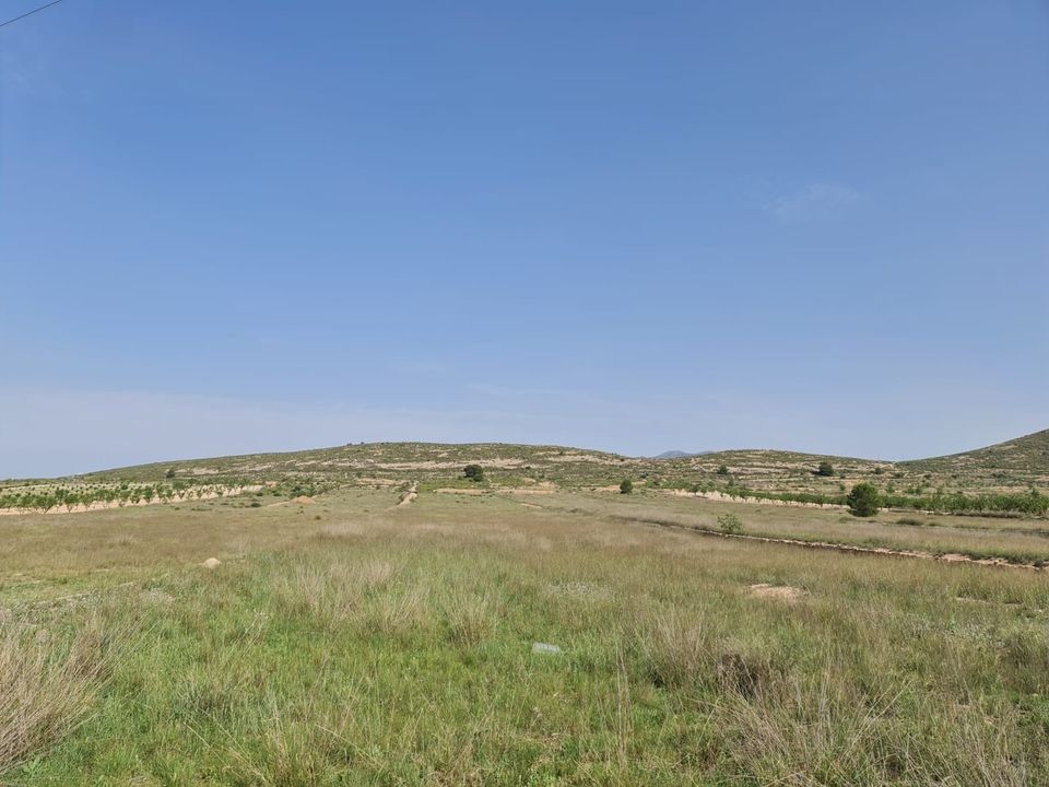Tomt i Jumilla, Murcia - bilde 1