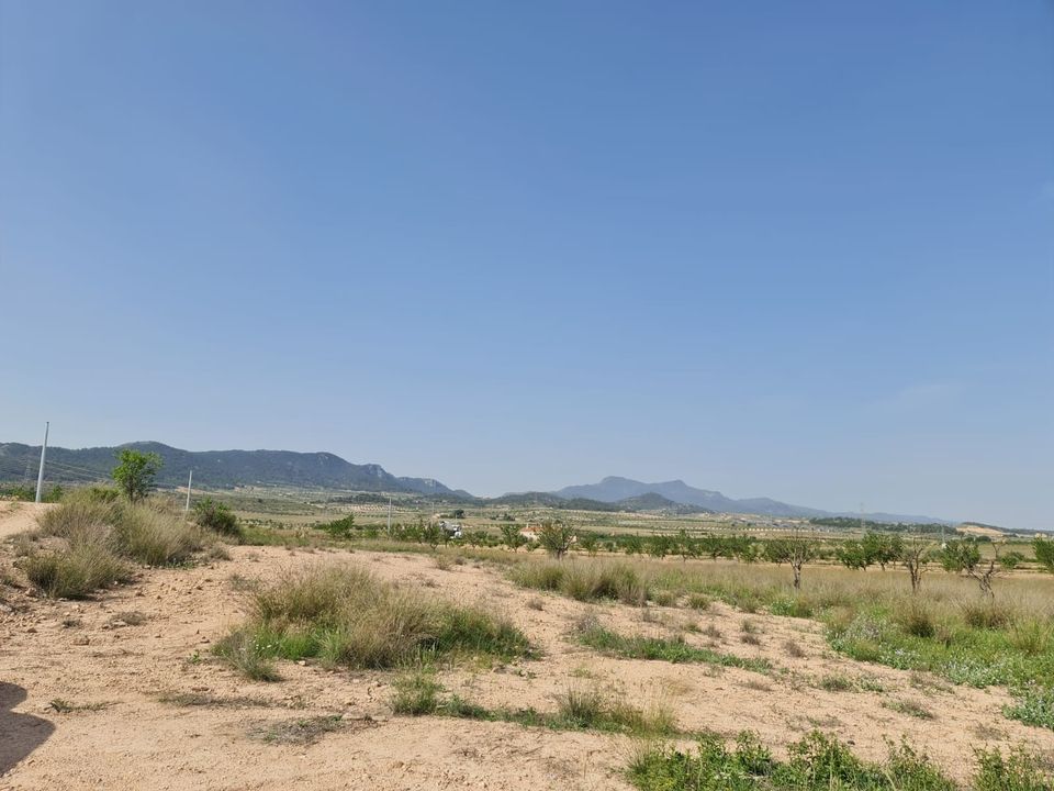 Tomt i Jumilla, Murcia - bilde 2
