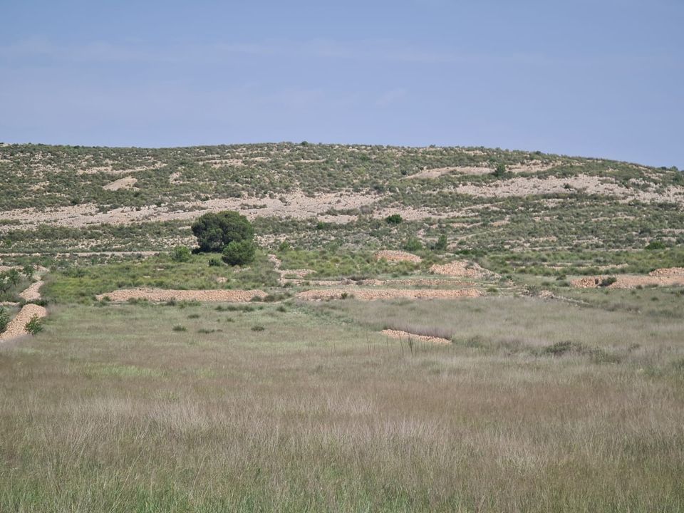 Tomt i Jumilla, Murcia - bilde 4