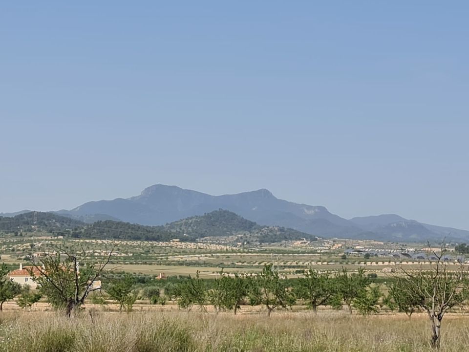 Tomt i Jumilla, Murcia - bilde 5