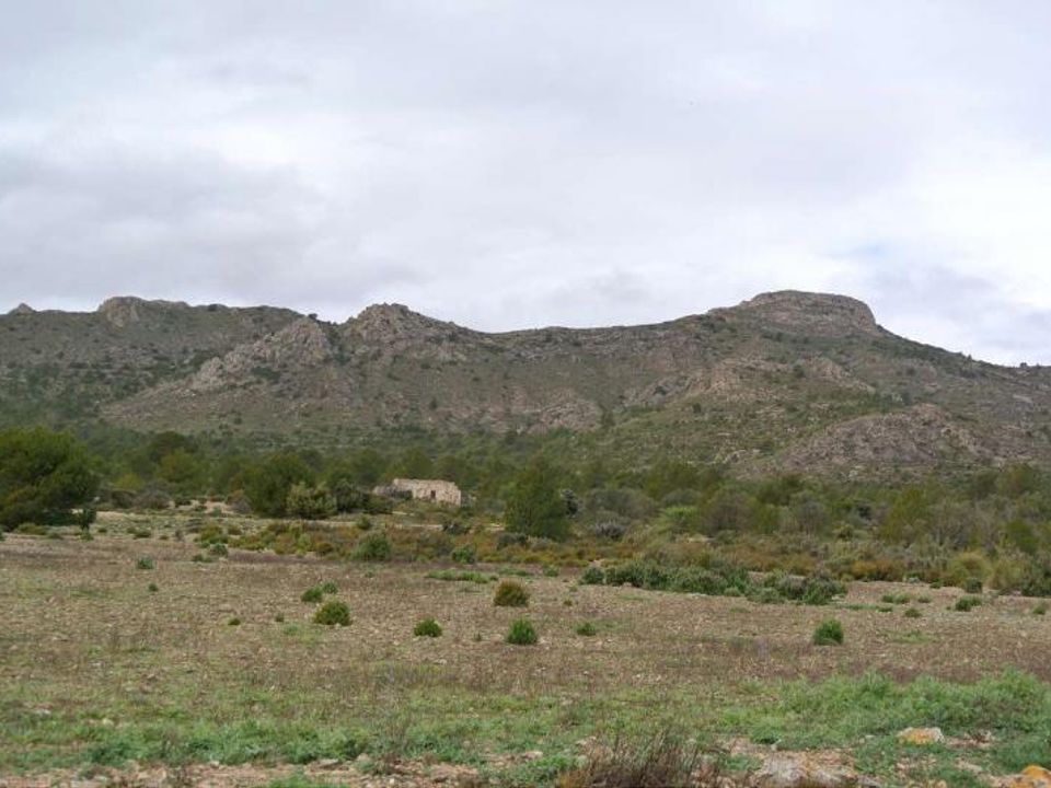 Helårsgrund i Yecla, Murcia - foto 1