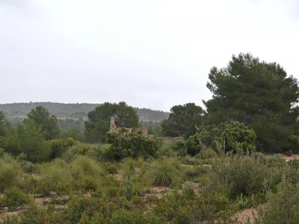 Helårsgrund i Yecla, Murcia - foto 2