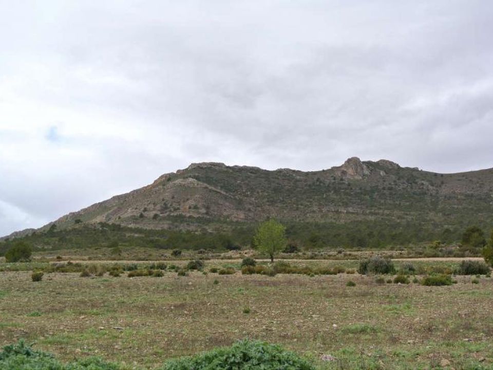Helårsgrund i Yecla, Murcia - foto 4