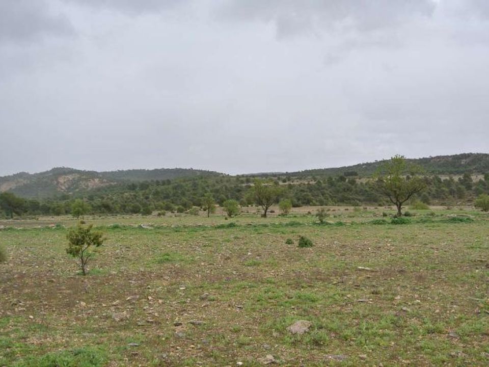 Helårsgrund i Yecla, Murcia - foto 5