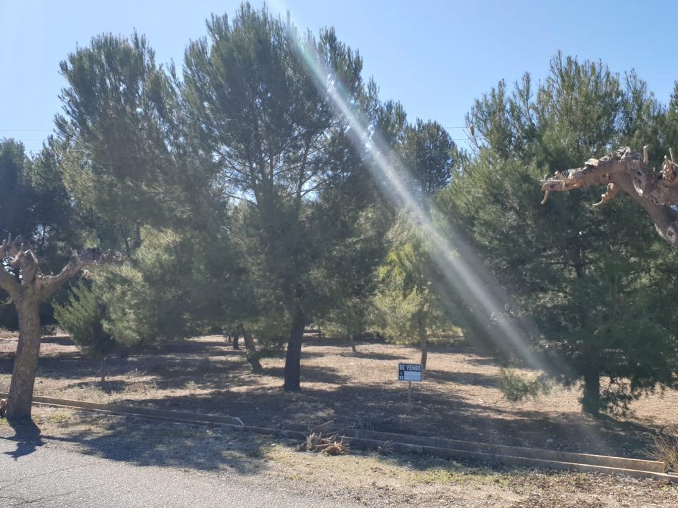 Helårsgrund i Beneixama, Alicante - foto 1