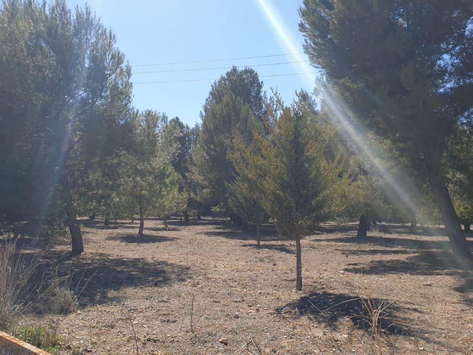 Helårsgrund i Beneixama, Alicante - foto 2