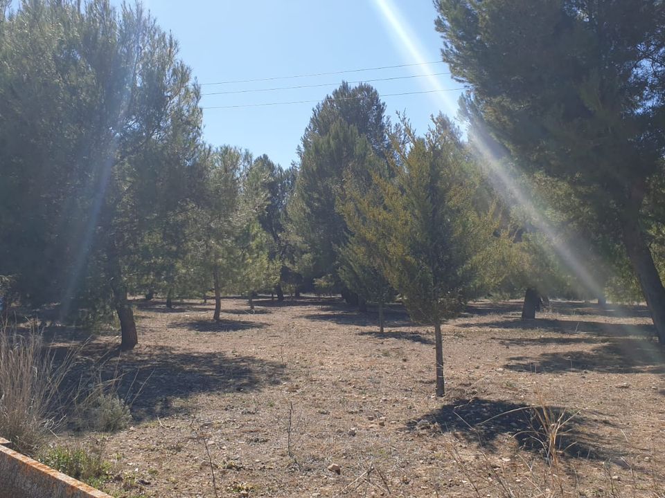 Helårsgrund i Beneixama, Alicante - foto 3