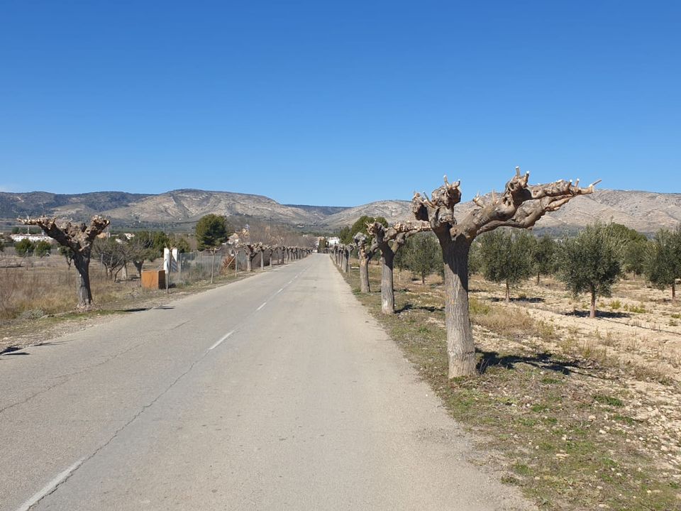 Helårsgrund i Beneixama, Alicante - foto 4