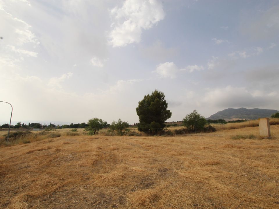 Helårsgrund i Caudete, Albacete - foto 2