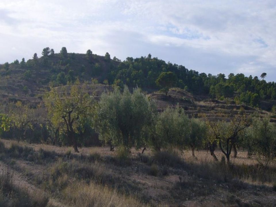 Ruinere i Macisvenda, Murcia - foto 2