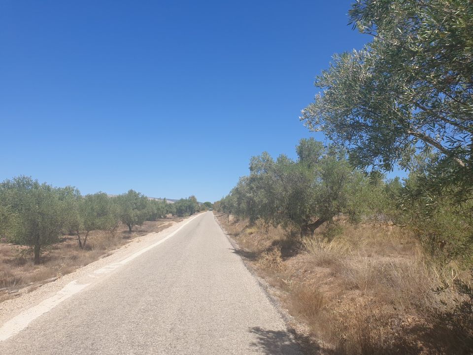 Tomt i Biar, Alicante - bilde 1