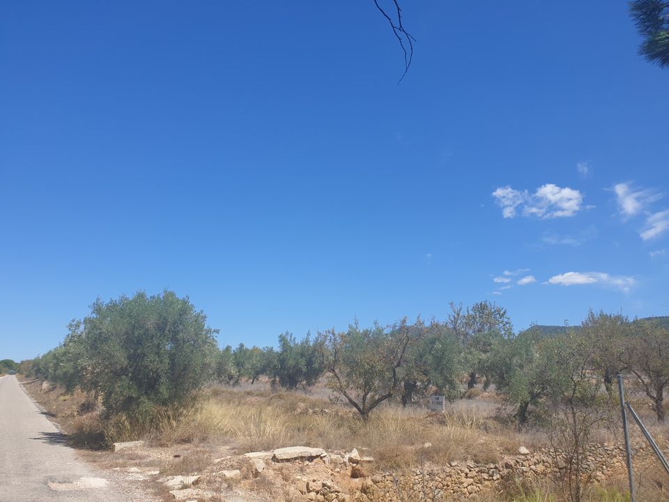 Tomt i Biar, Alicante - bilde 5