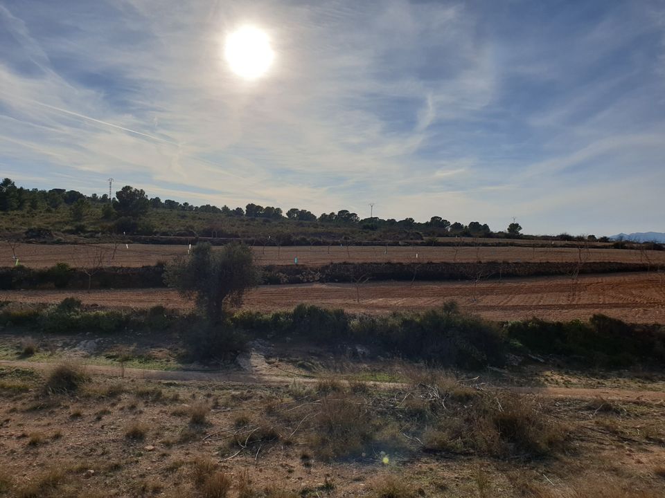 Helårsgrund i Pinoso, Alicante - foto 5