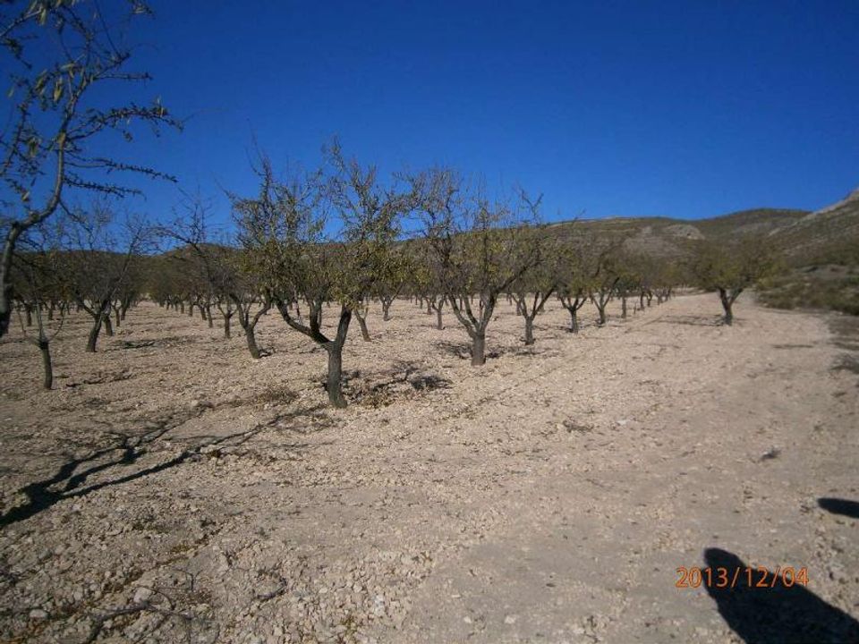 Helårsgrund i Yecla, Murcia - foto 3