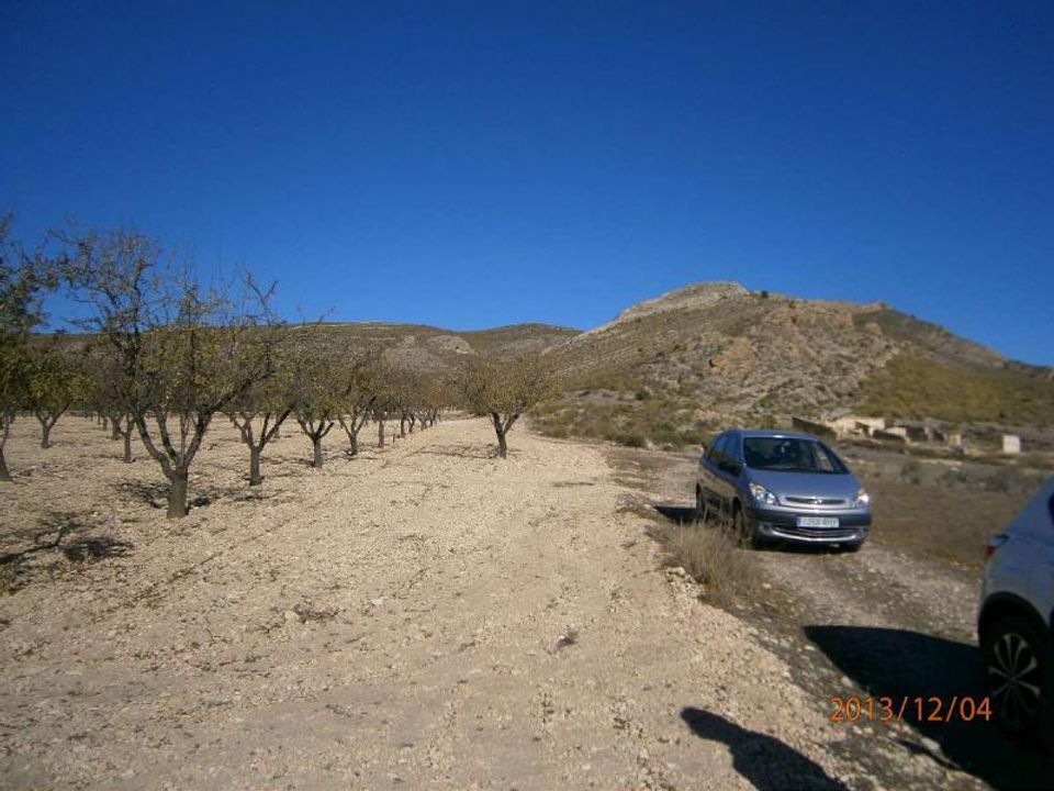 Helårsgrund i Yecla, Murcia - foto 5