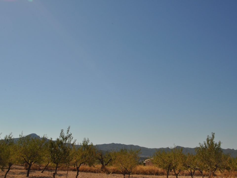 Helårsgrund i Macisvenda, Murcia - foto 5