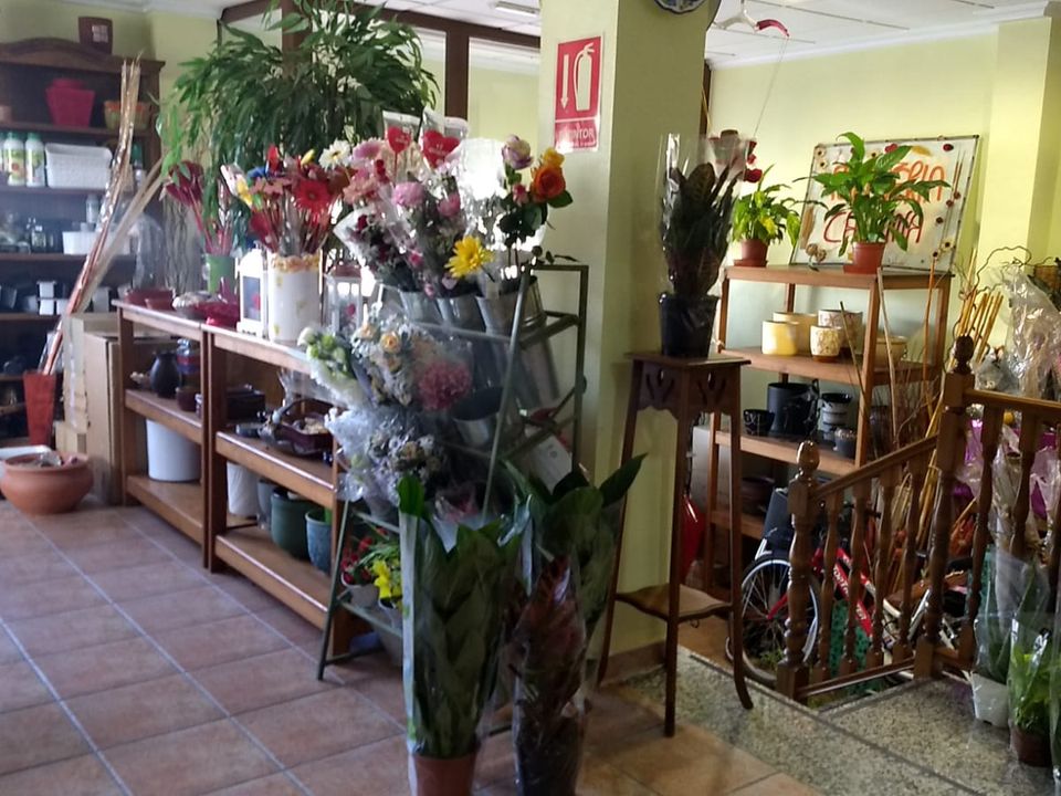 Byhus i Pinoso, Alicante - foto 3